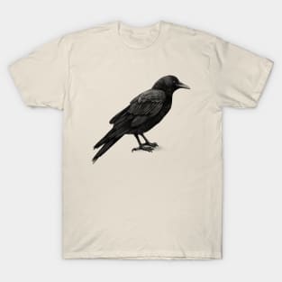 Crow T-Shirt